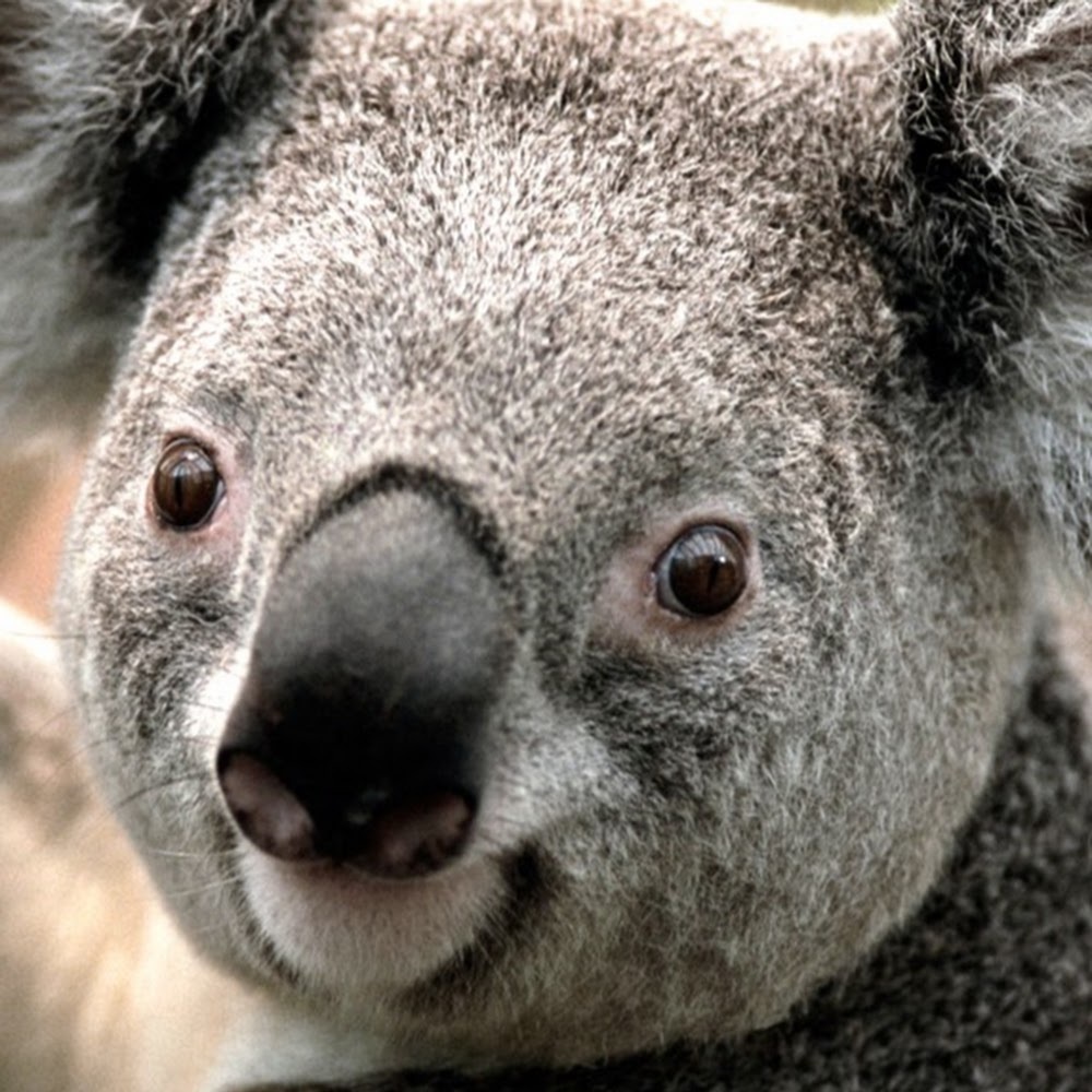 Meet your Posher, Meghan